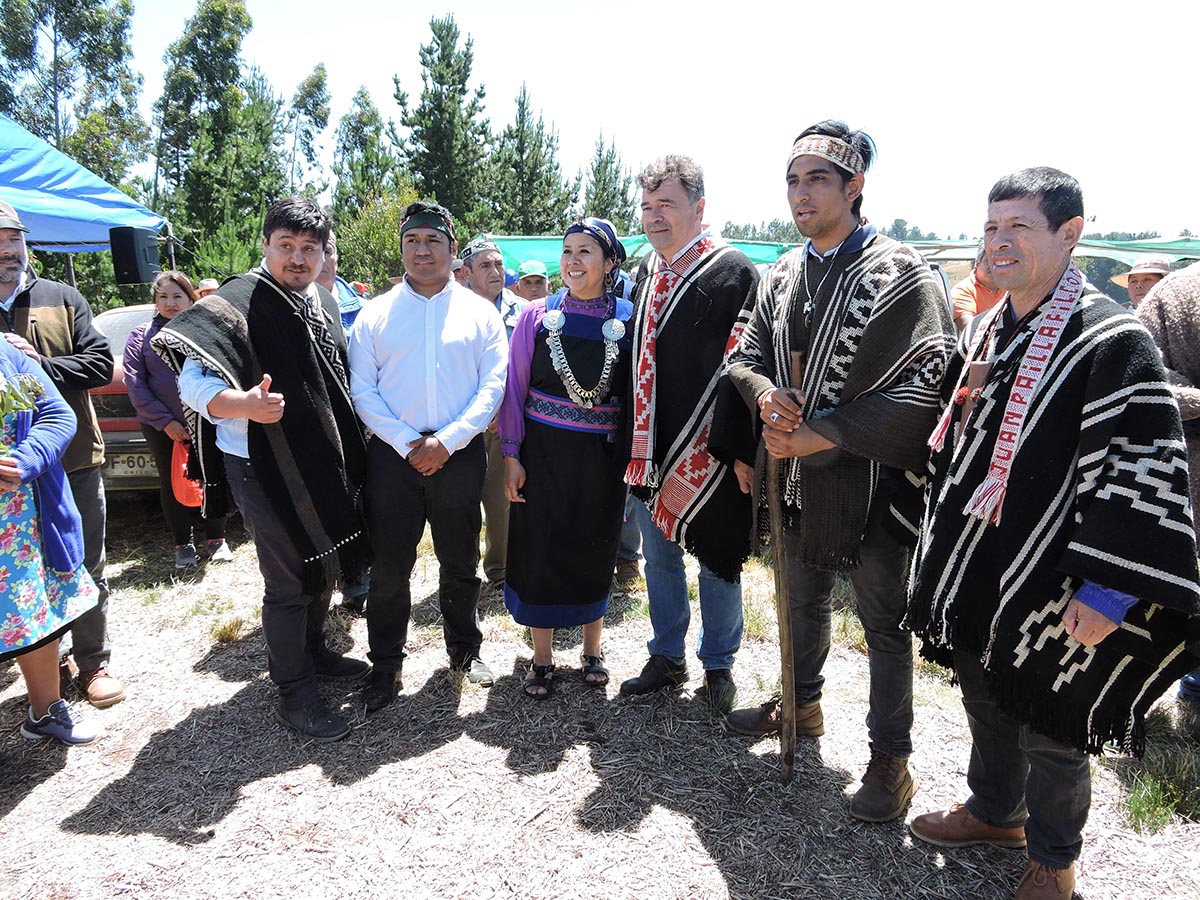 Mapuches del Budi se reunieron con Ministro de Agricultura y realizaron encuentro de palin apoyados por CONADI