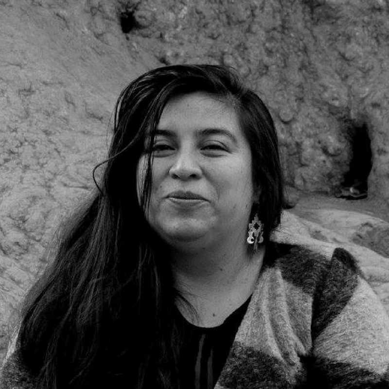 Poeta Roxana Miranda Rupailaf obtiene Premio «Artista de Trayectoria» en Región de Lagos