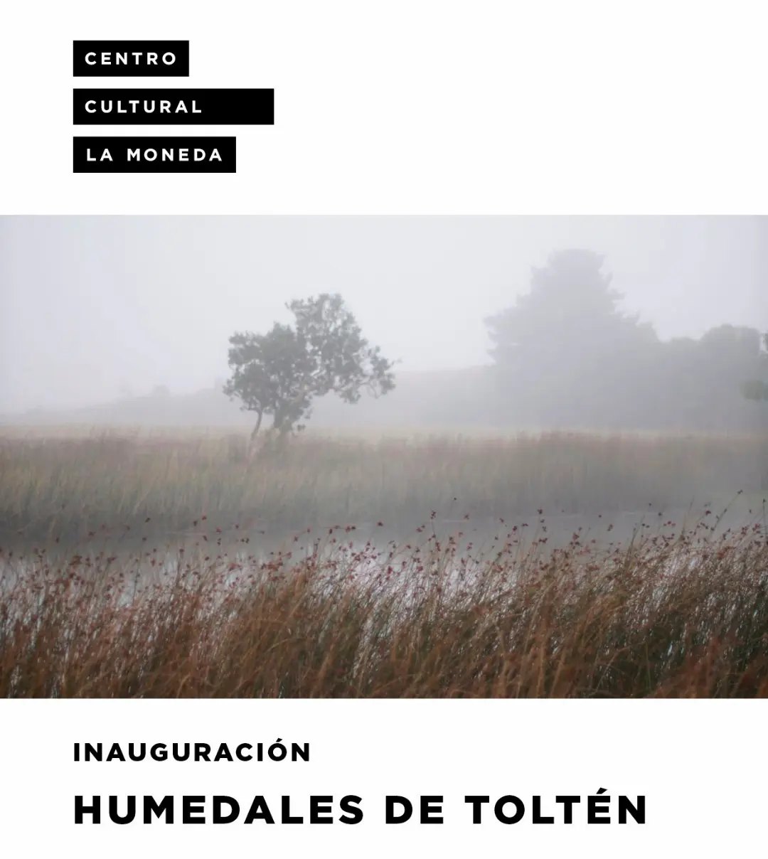 Inauguran exposición sobre humedales de Tolten