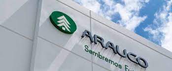 Denuncian que Faenas Mixtas de Forestal Arauco traen consigo proteger el extractivismo forestal