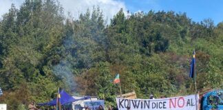 Comunidad mapuche en Chiloé rechaza parque eólico y gigantescas torres de transmisión