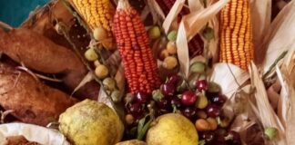 Gobierno deja sin efecto Resolución que restringe el uso, resguardo e intercambio de semillas tradicionales