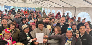 Gobierno compra tierras históricas mapuche a forestal de familia Zunino Besniar para devolvérselas a comunidades indígenas de Purén