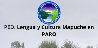 Estudiantes mapuche de la U. Católica de Temuco continúan movilización y rechazan respuesta del Rector