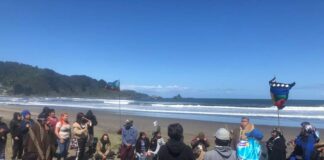 Días clave para aprobar Espacio Costero en Mehuín: Comunidades señalan que es posible gran acuerdo con pescadores y otros actores