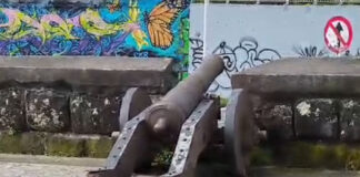 Cañones Coloniales en el río Rahue: Historias actuales del fuerte Reina Luisa en territorio Mapuche Williche de Chausrakawin