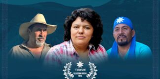 En Villarrica estrenarán documental “Agua es Vida” en clausura de muestra TUWUN