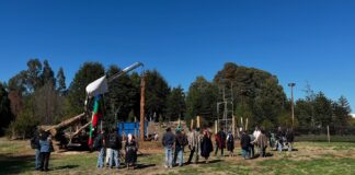 Estudiantes Mapuche levantan Orkon de su nueva Ruka en la U. Católica de Temuco