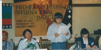 Crítica y Autocrítica al Foro Permanente sobre Cuestiones Indígenas de Naciones Unidas