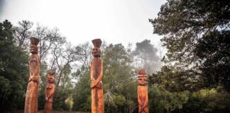 Orígenes de Temuco con el Cerro Ñielol y la presencia actual y ancestral del pueblo Mapuche