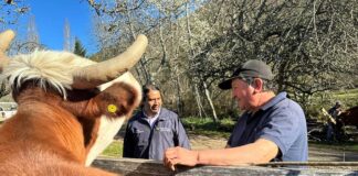 Implementan ganadería climática inteligente en la zona cordillerana de la Araucanía