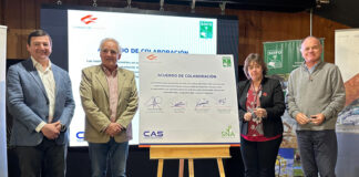 La alianza de la Agricultura de La Araucanía con la Salmonicultura: plantean que la industria del salmón podría crecer un 50%