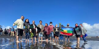 Relatora de la ONU destaca que el pueblo mapuche es un ejemplo de lucha de protección de las costas marinas