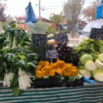 legumbres alimentacion verduras feria pte alto junio 2025