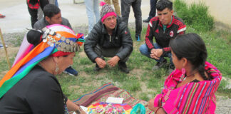 Crean herramienta para evaluar la vitalidad de las lenguas Aymara y el Mapuzugun