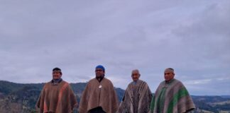 Histórica organización Mapuche Williche rechaza Consulta de Comisión de Paz y Entendimiento de Boric