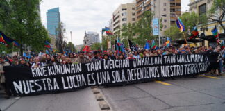 Hay Un millón seiscientos mil personas mapuche en Chile, según Censo 2024