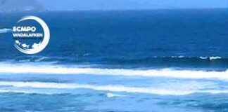 Comunidades Lafkenche valoran ampliación de plazo para evaluación de reclamación sobre ECMPO Wadalafken