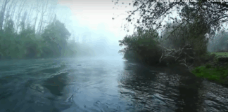 Ceremonias mapuche y evangélicas: El doble trato desde la prensa chilena