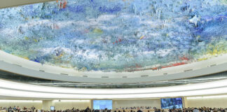 ONU: alertan que violaciones en consulta mapuche se repiten en minería del litio