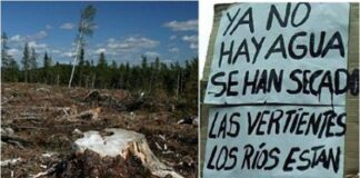 Pueblo Mapuche y las graves brechas de habitabilidad y justicia territorial. Nuevo informe del Hogar de Cristo