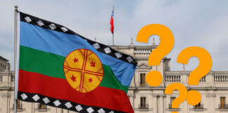 “Revinculación” de la Consulta Indígena: la nueva treta del Gobierno frente al rechazo mapuche al sistema de tierras