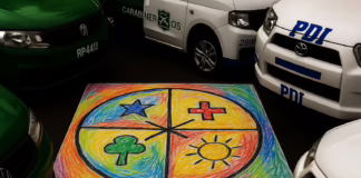 Infancia mapuche despierta con el ruido de las armas: Corte acoge amparo por violencia policial