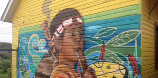 ¿Crisis de la formación docente afectará el saber mapuche y la revitalización del mapudungun?