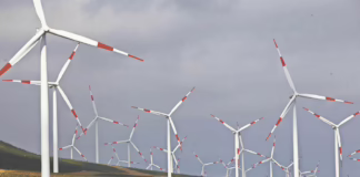 Energía limpia y conflicto sucio: comunidades mapuche acusan al SEA por avalar parque eólico en Los Ríos