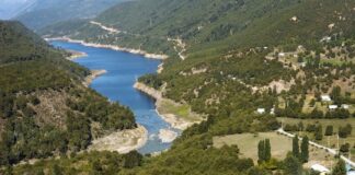 Denuncian exclusión del pueblo mapuche en decisiones hídricas en Chile y destacan su visión sobre el agua