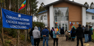 Comunidad mapuche williche reivindica títulos históricos y cuestiona presencia forestal en territorio ancestral