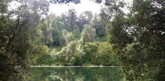 SMA sanciona con millonaria multa a inmobiliaria en río Maullín y abre precedente para proteger áreas sensibles