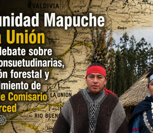 Comunidad Mapuche en La Unión reabre debate sobre tierras consuetudinarias, expansión forestal y reconocimiento de Títulos de Comisario y de Merced