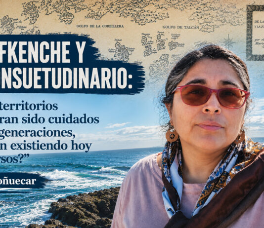 Ley Lafkenche y uso consuetudinario: “Si estos territorios no hubieran sido cuidados durante generaciones, ¿seguirían existiendo hoy sus recursos?”