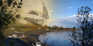 Despertar navegando en la memoria de Chiloé