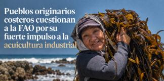 Pueblos originarios costeros cuestionan a la FAO por su fuerte impulso a la acuicultura industrial