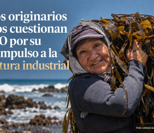 Pueblos originarios costeros cuestionan a la FAO por su fuerte impulso a la acuicultura industrial