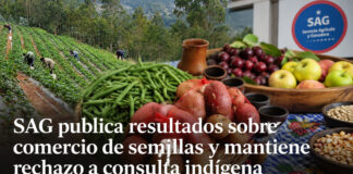SAG publica resultados sobre comercio de semillas y mantiene rechazo a consulta indígena