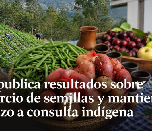 SAG publica resultados sobre comercio de semillas y mantiene rechazo a consulta indígena