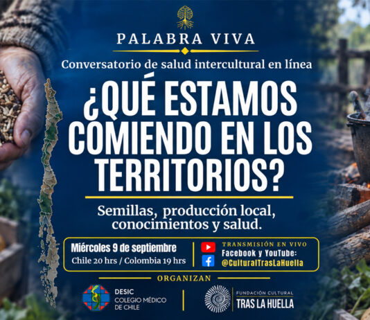 ¿Qué estamos comiendo en nuestros territorios? Conversatorio online aborda semillas, alimentación y salud